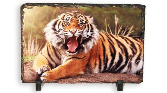 אבן בזלת קטנה בגודל 10 על 15